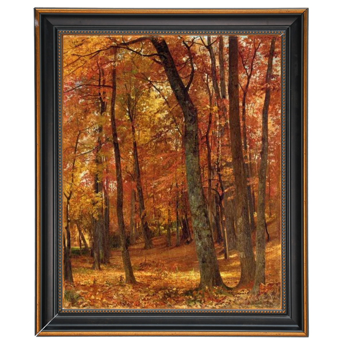 A Forest Interior
