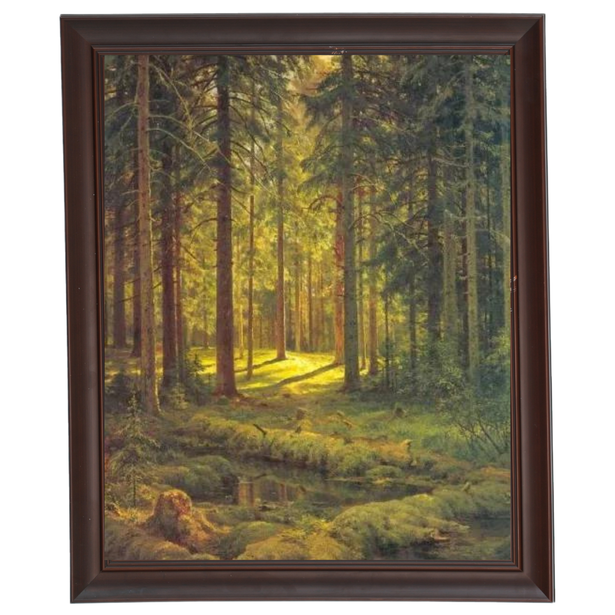 A Coniferous Forest. Sunny Day
