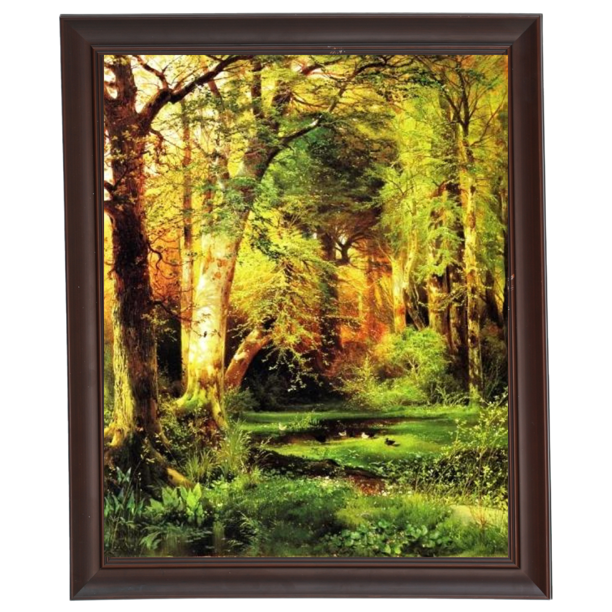 Forest Scene