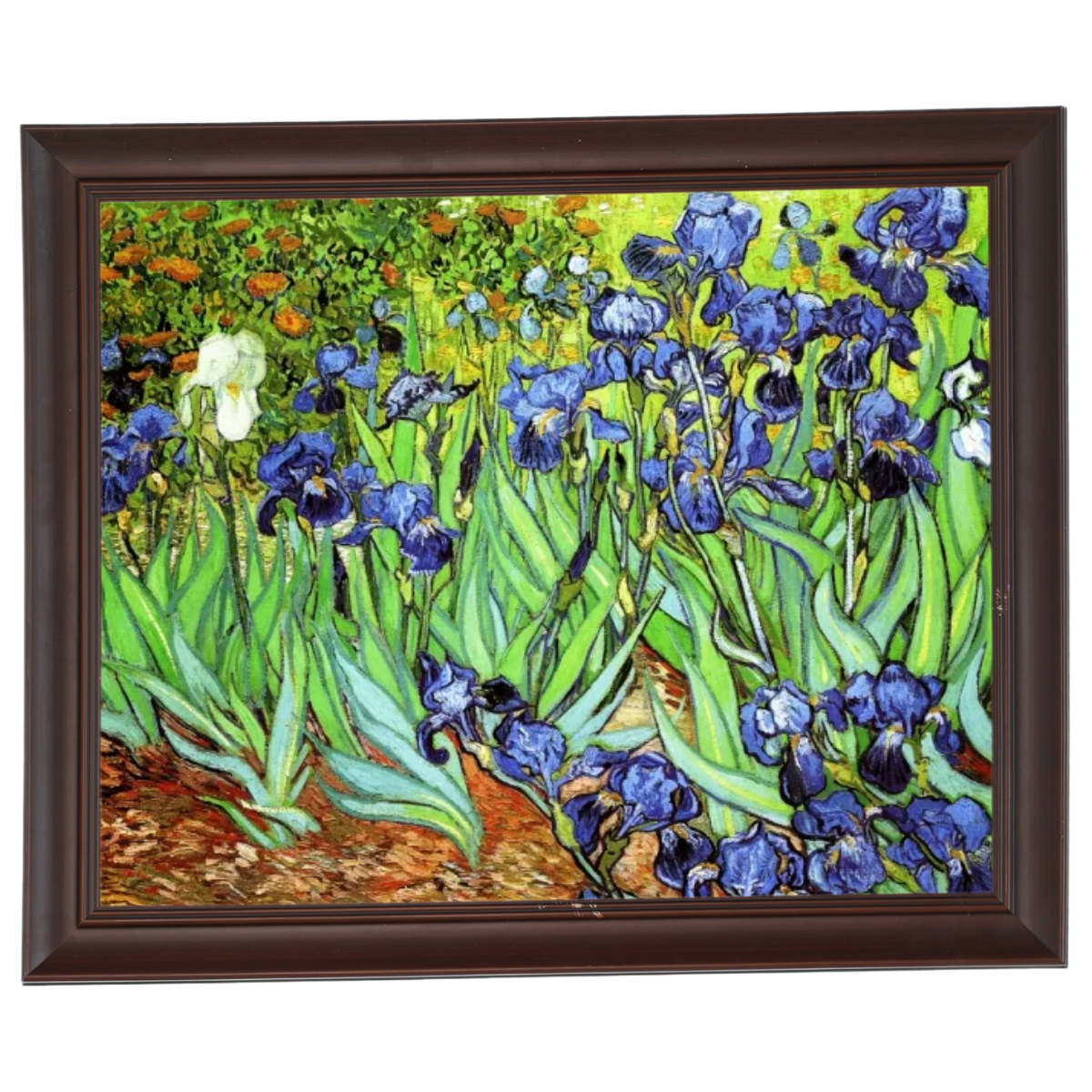 Irises II- Floral Wall Art Prints Decor For Living Room