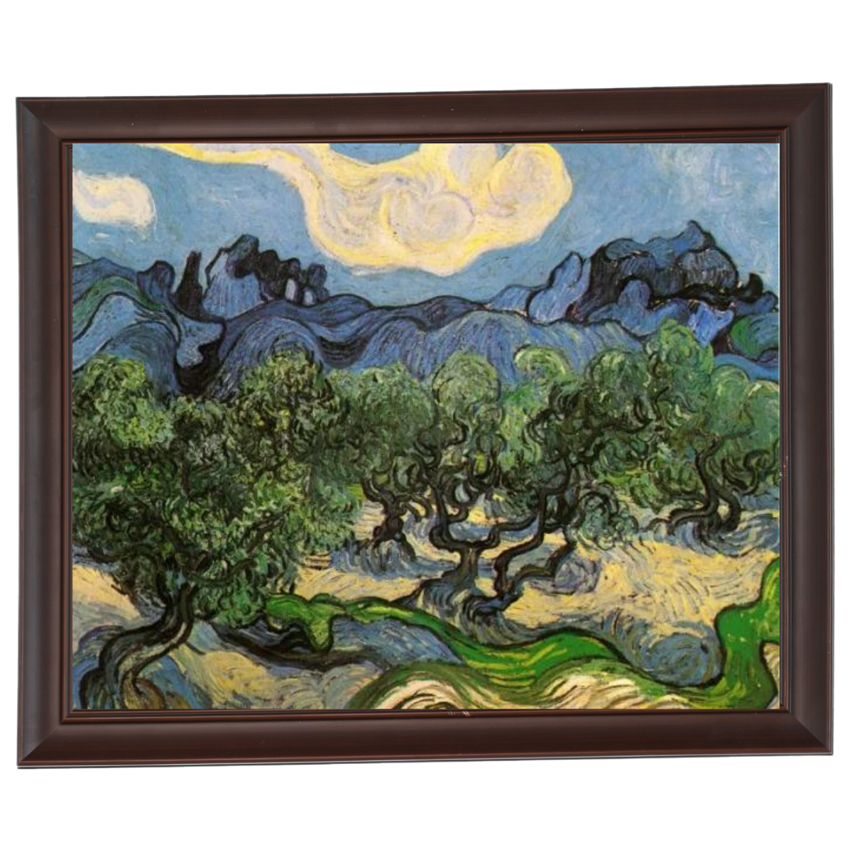 Olive Trees with the Alpilles in the Background