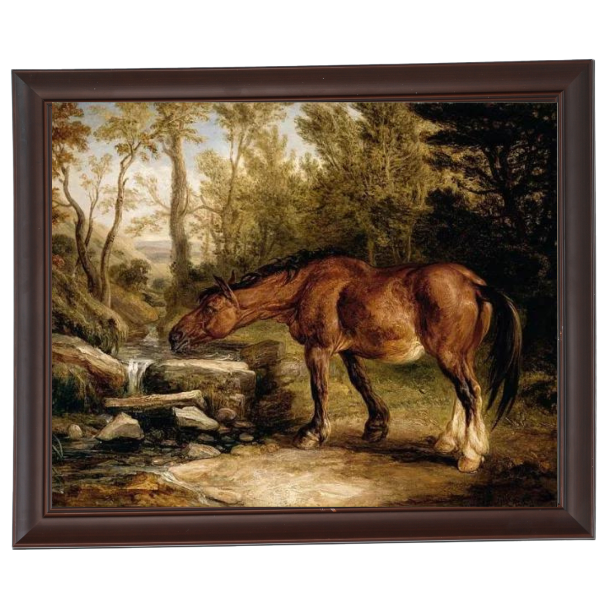 A Horse Drinking at a Stream