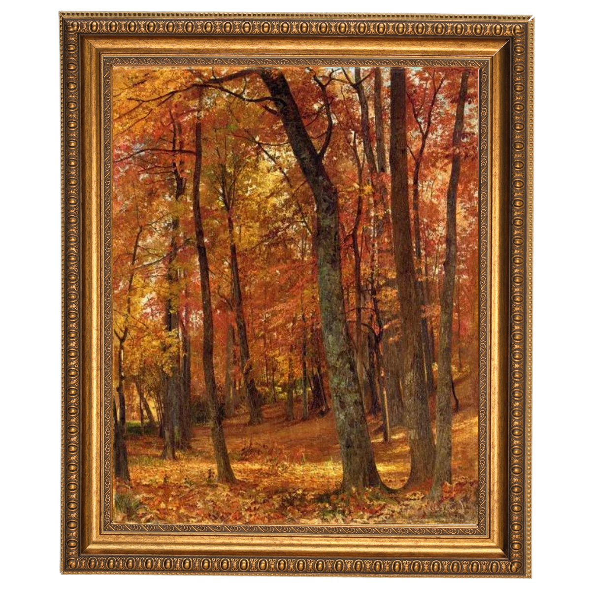 A Forest Interior