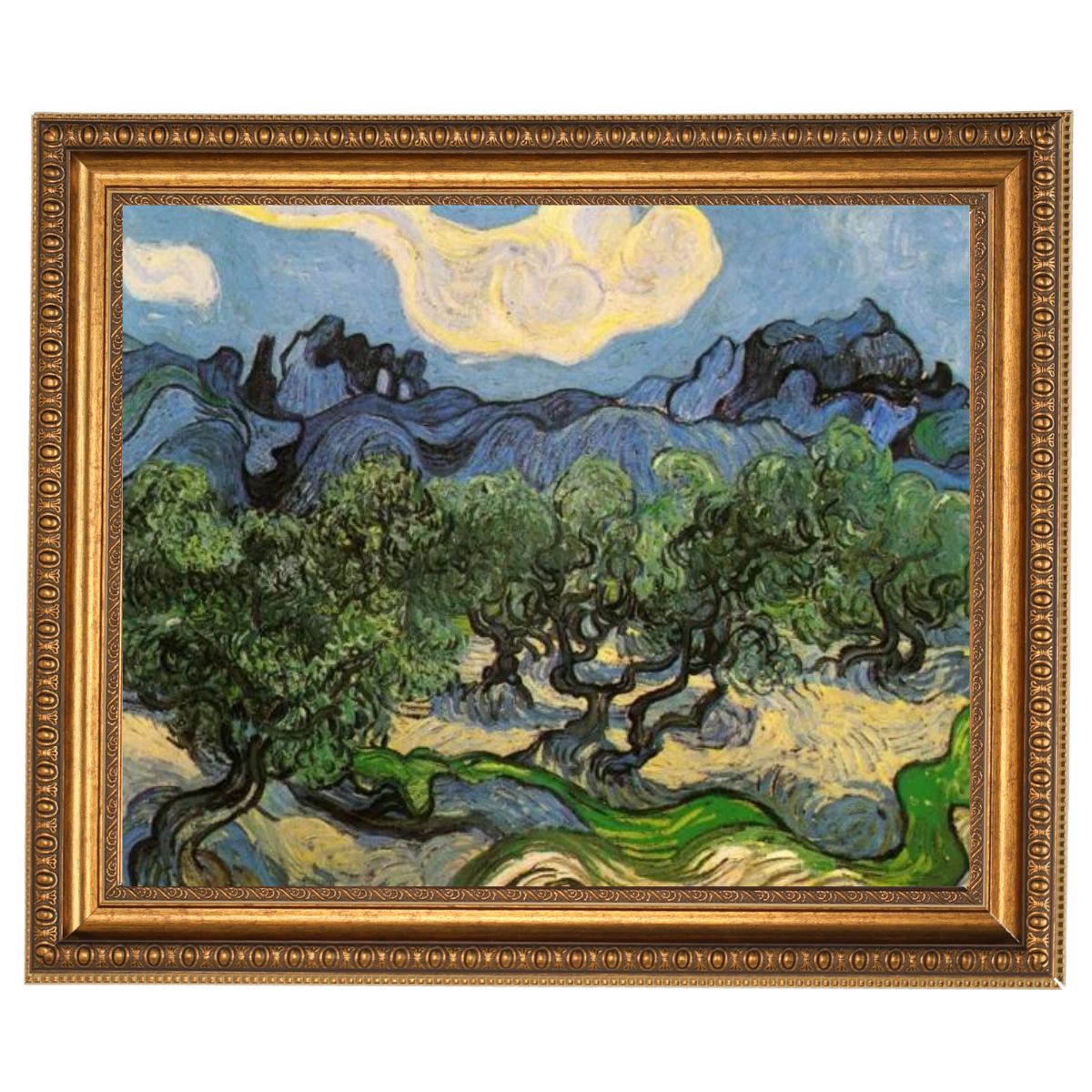 Olive Trees with the Alpilles in the Background