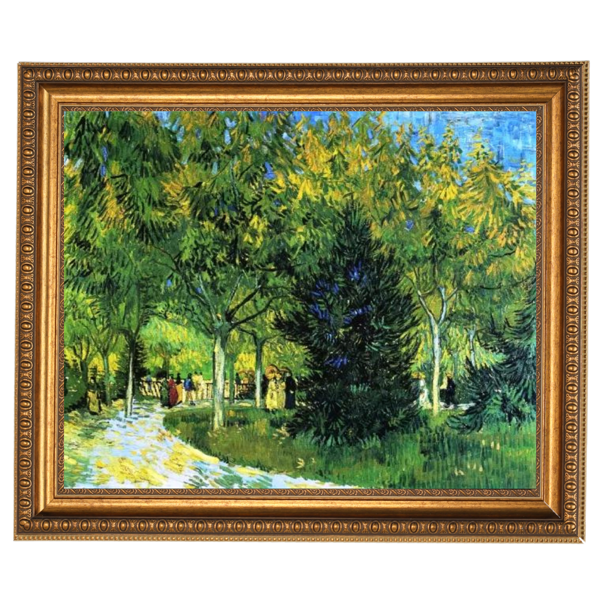 Avenue in the Park