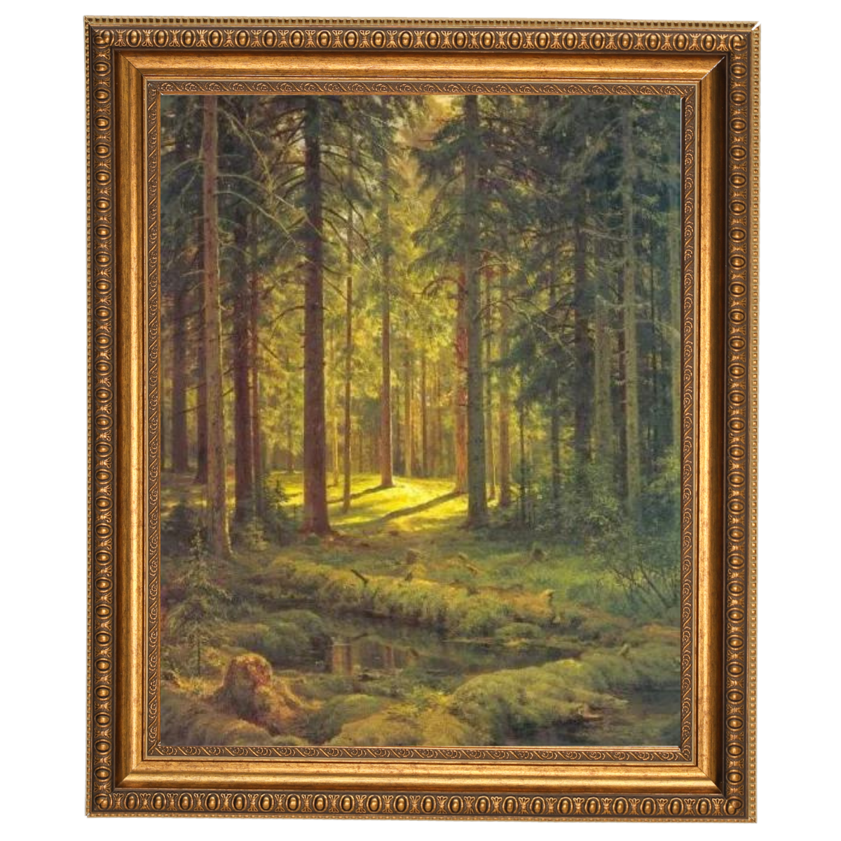 A Coniferous Forest. Sunny Day