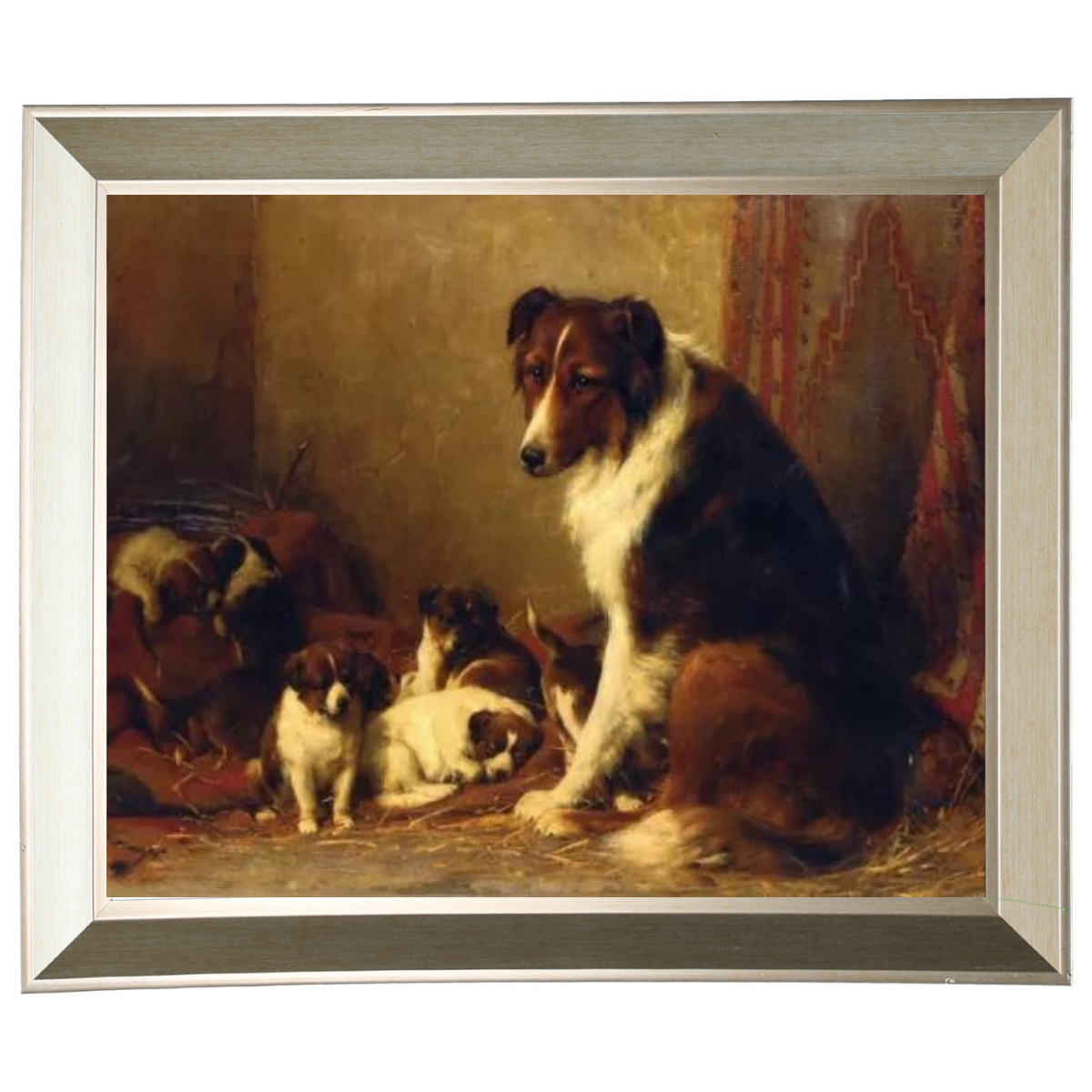 A Collie and Her Puppies