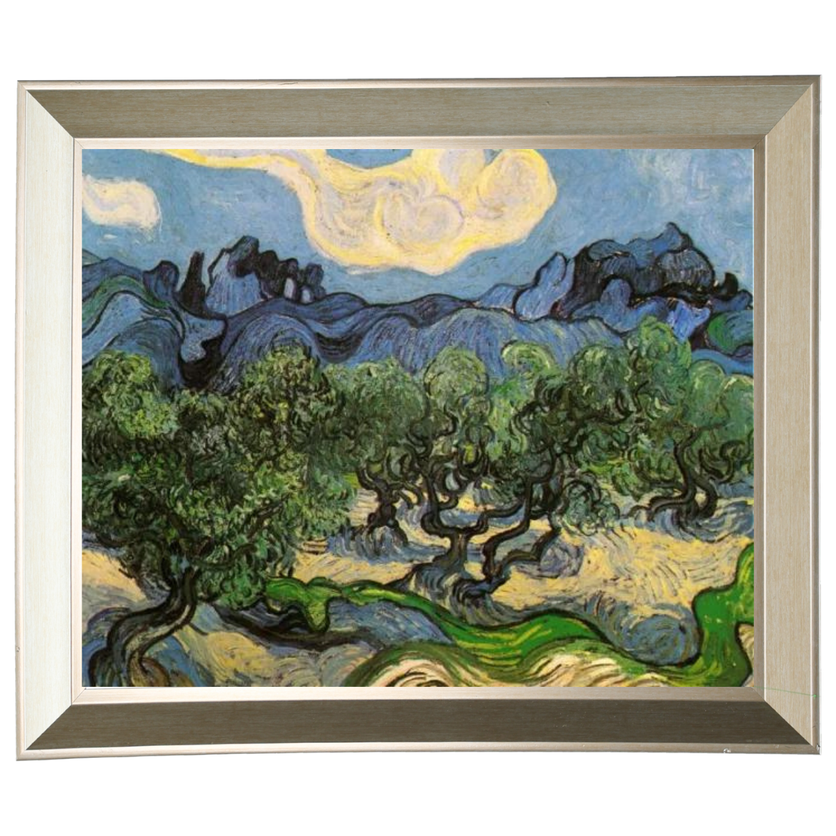 Olive Trees with the Alpilles in the Background