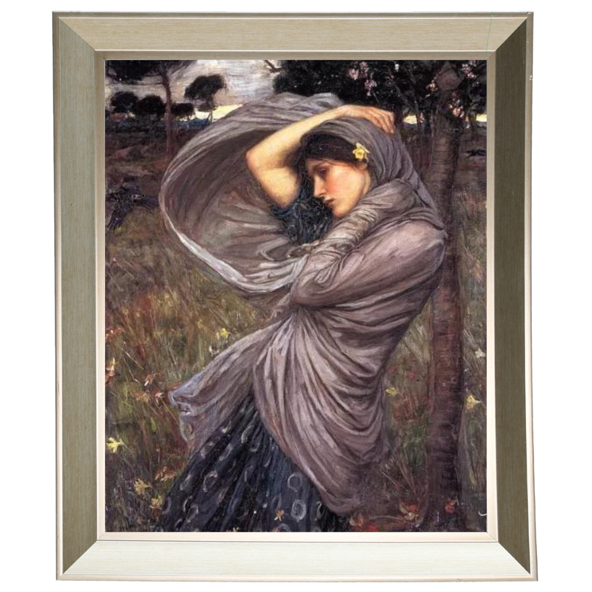 Boreas