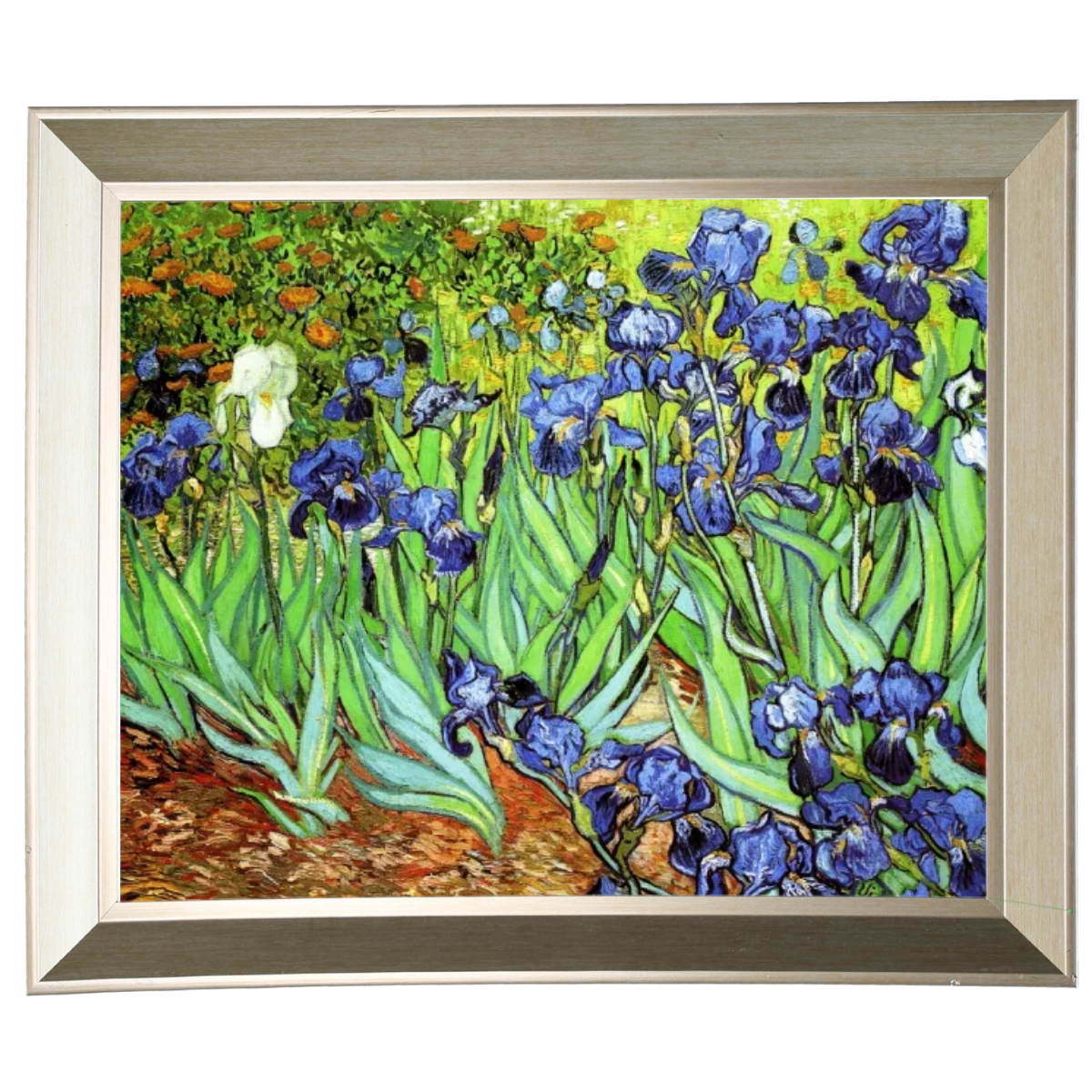 Irises II- Floral Wall Art Prints Decor For Living Room