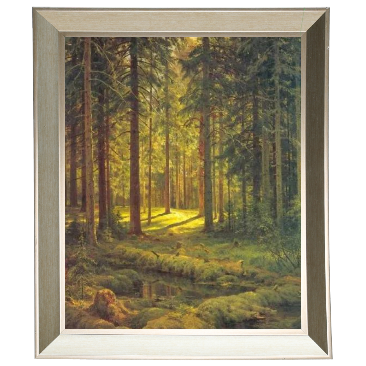 A Coniferous Forest. Sunny Day