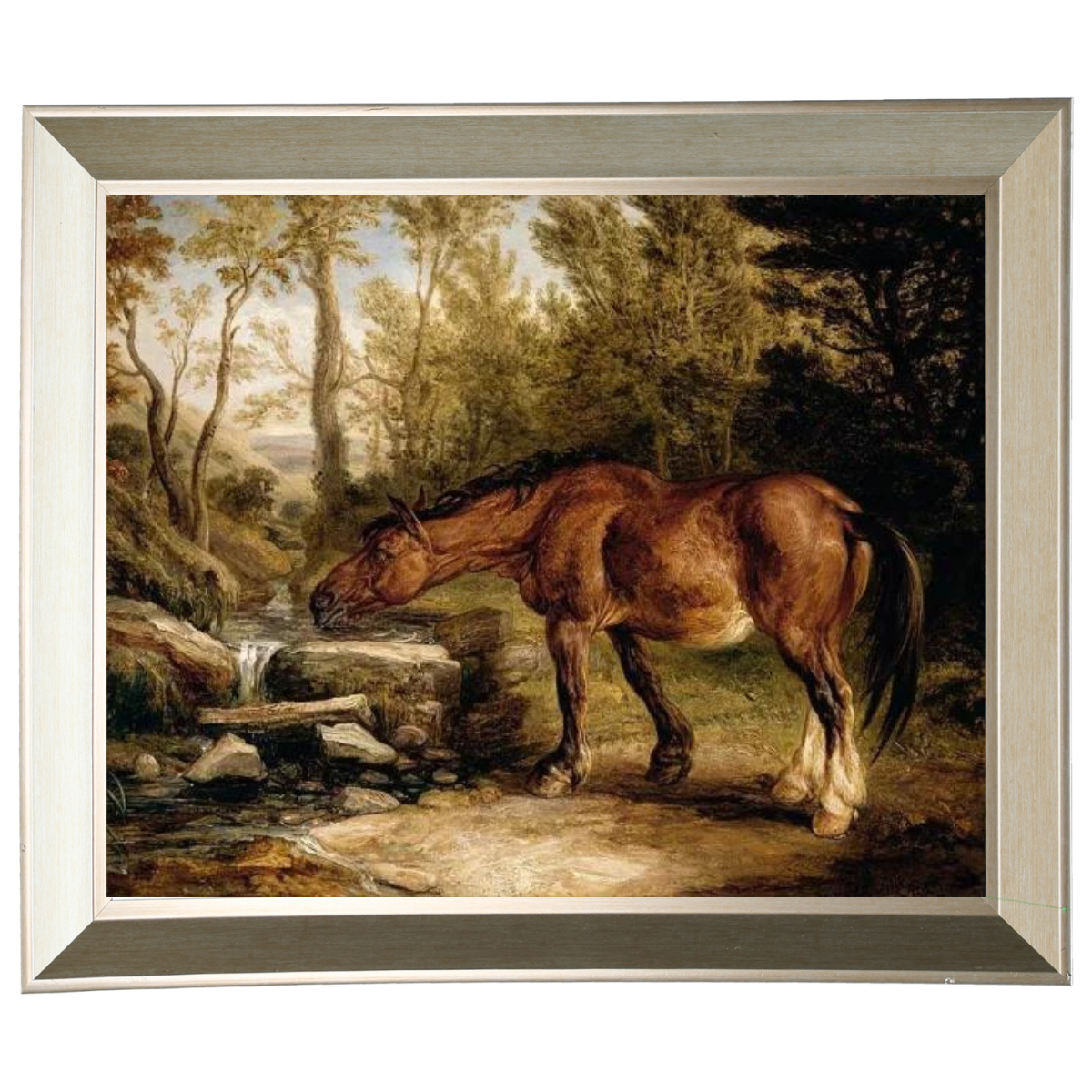 A Horse Drinking at a Stream