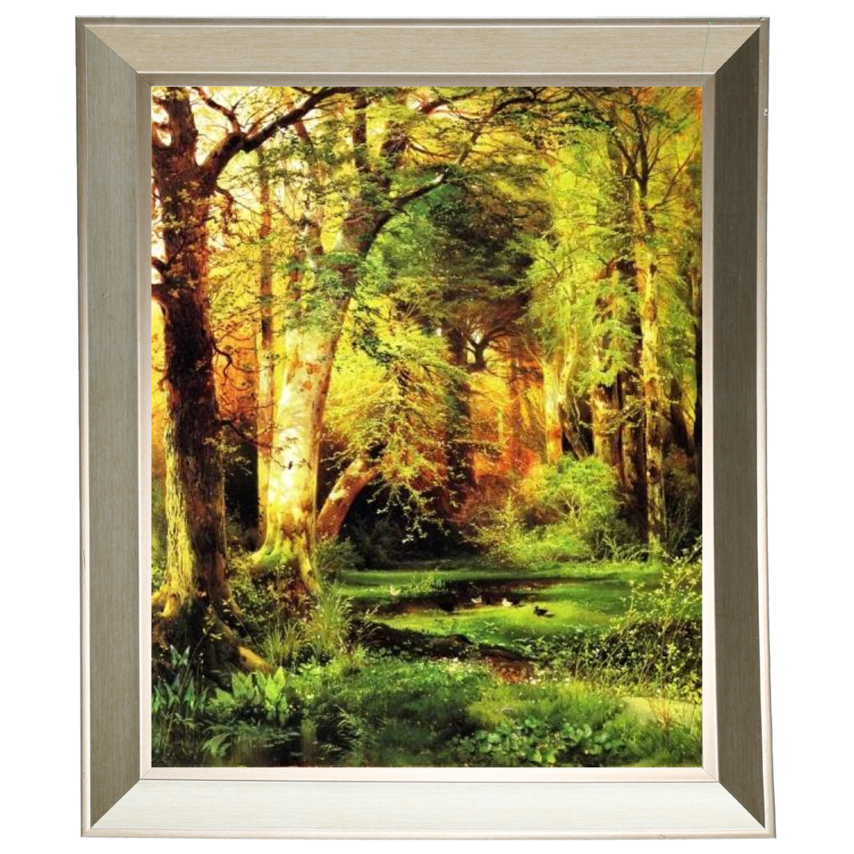 Forest Scene