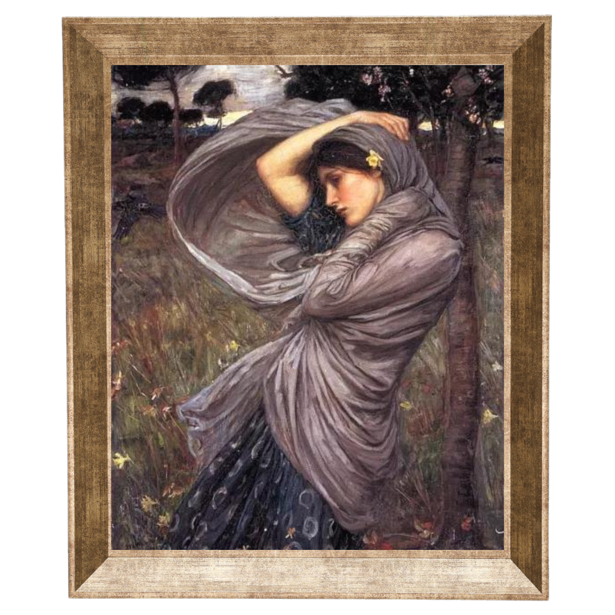 Boreas