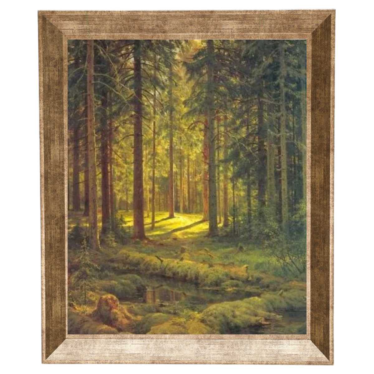 A Coniferous Forest. Sunny Day
