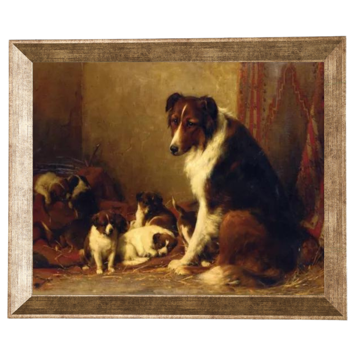 A Collie and Her Puppies