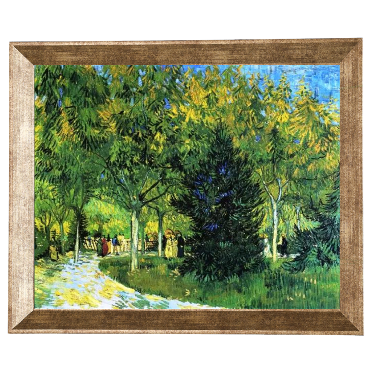 Avenue in the Park