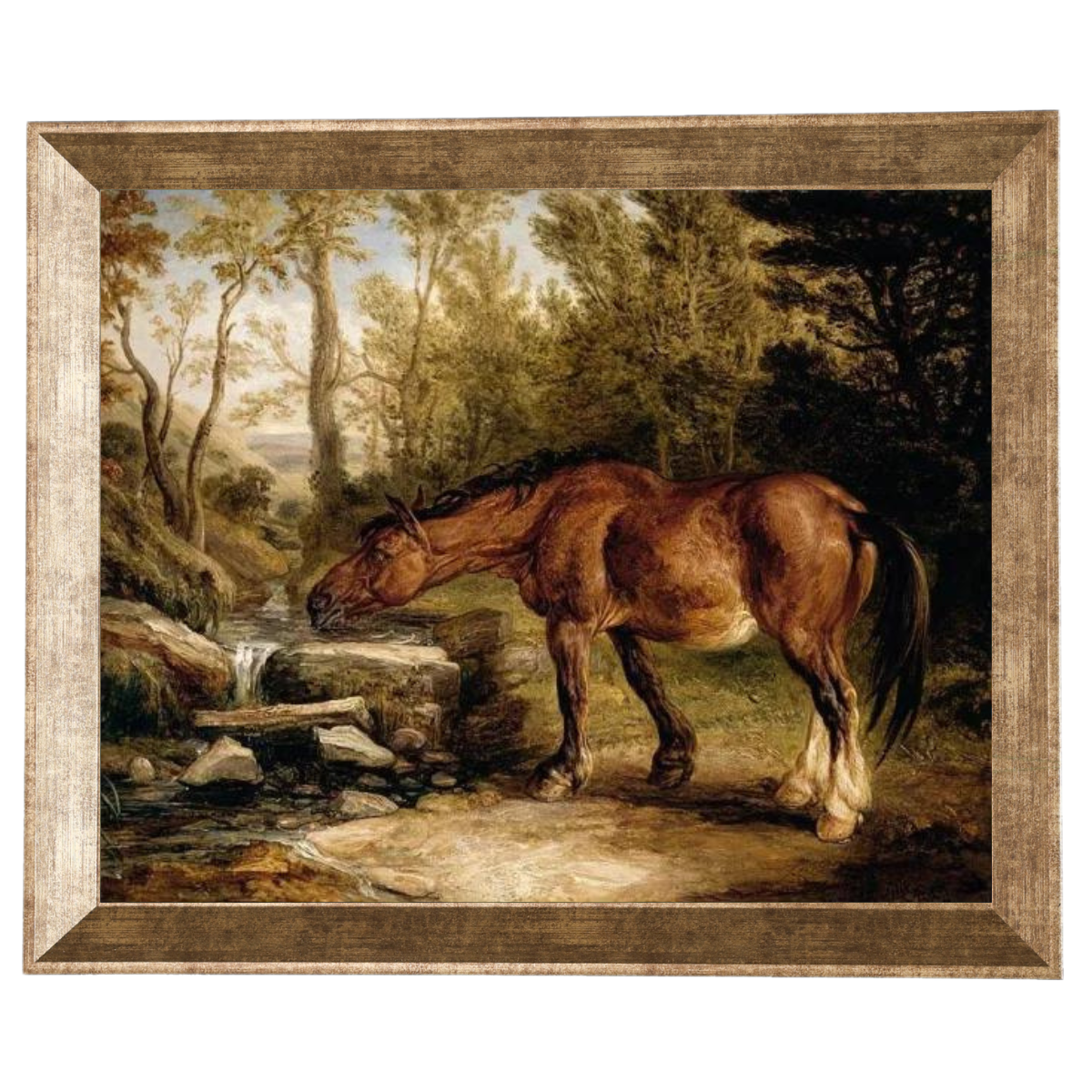 A Horse Drinking at a Stream