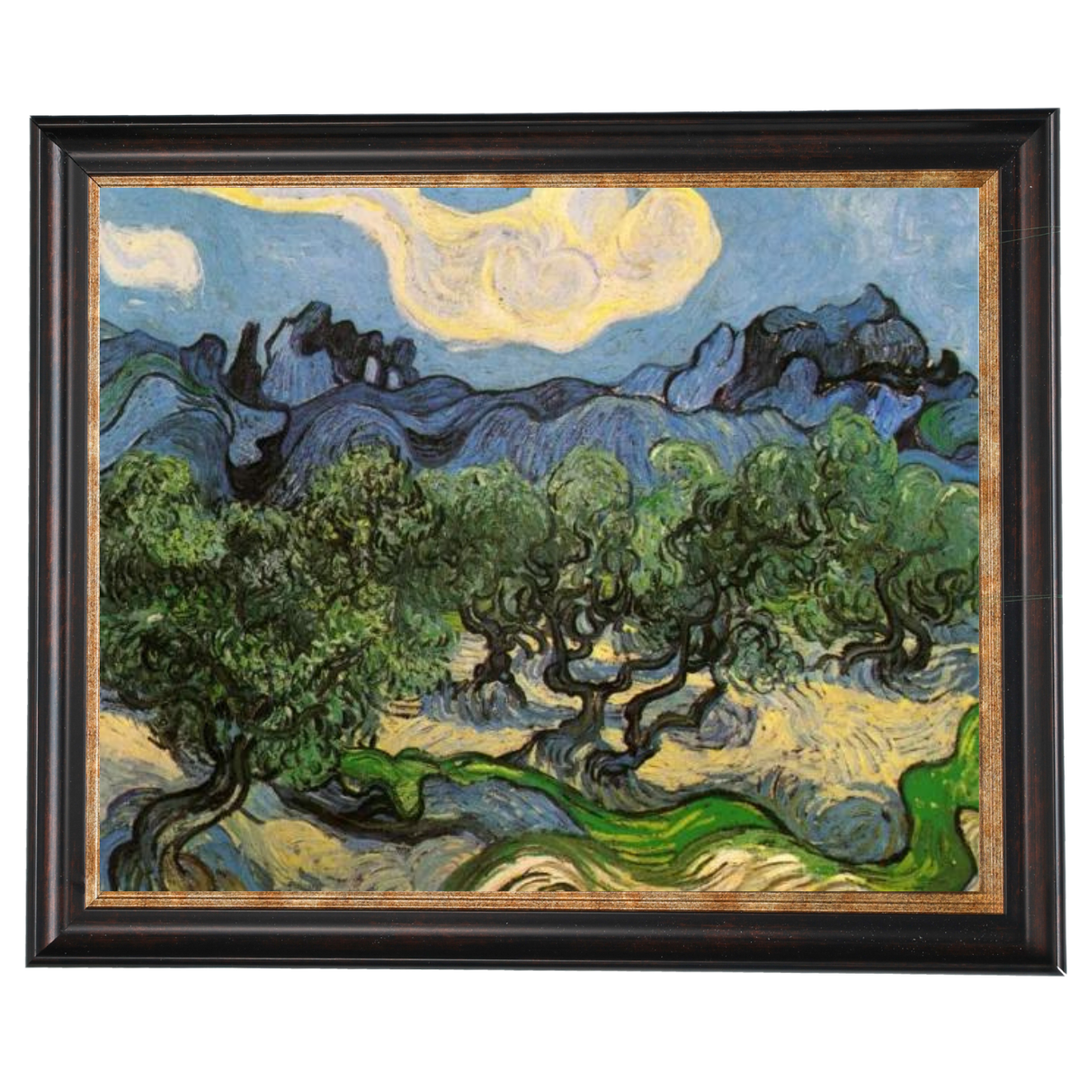 Olive Trees with the Alpilles in the Background