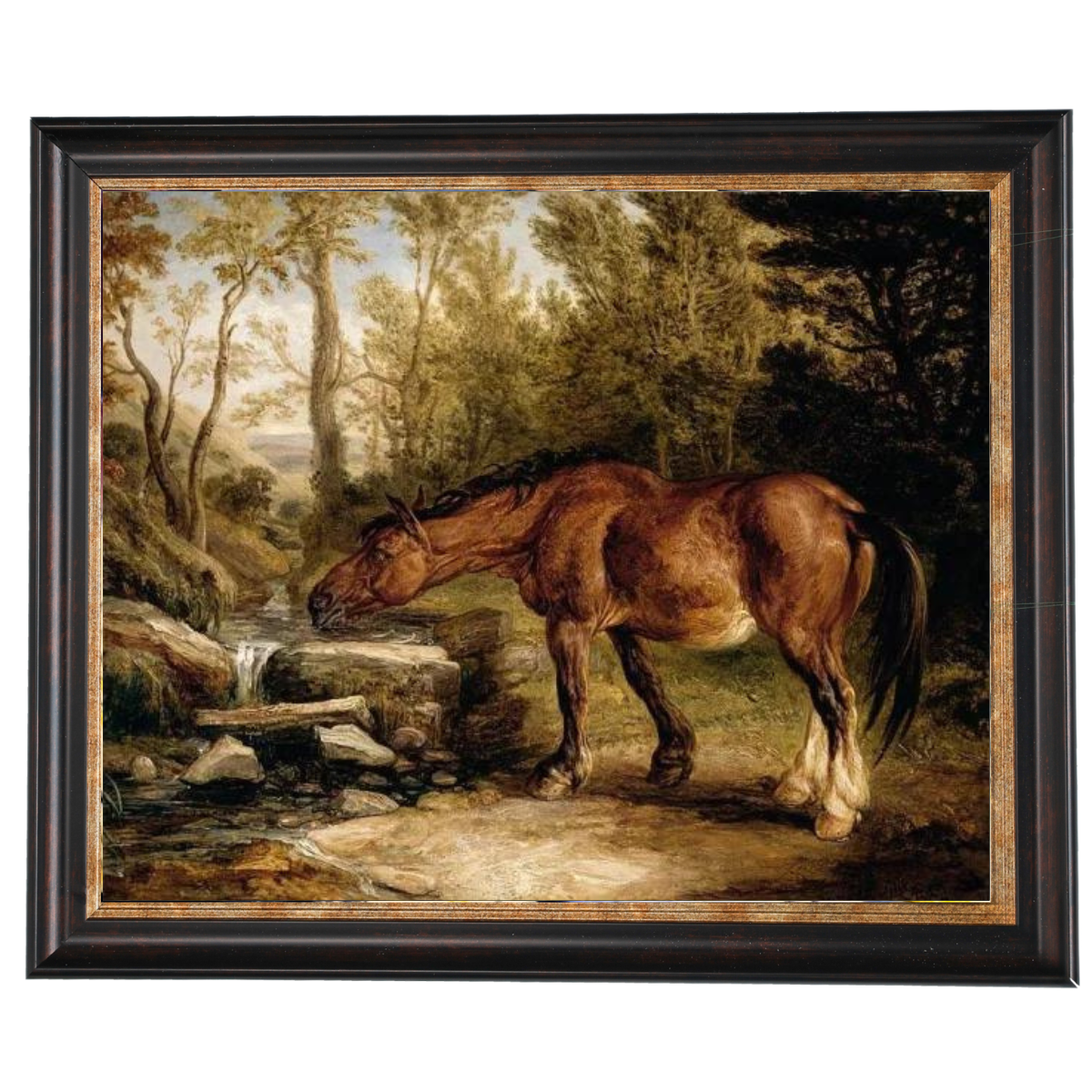A Horse Drinking at a Stream