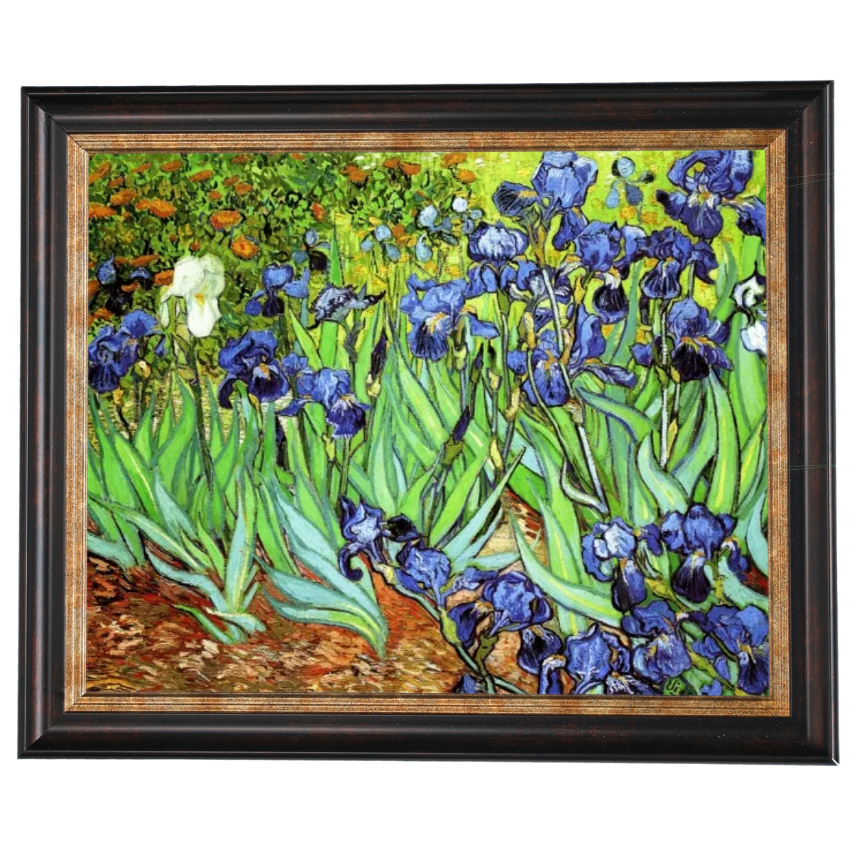 Irises II- Floral Wall Art Prints Decor For Living Room
