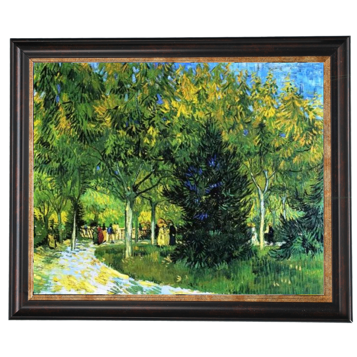 Avenue in the Park