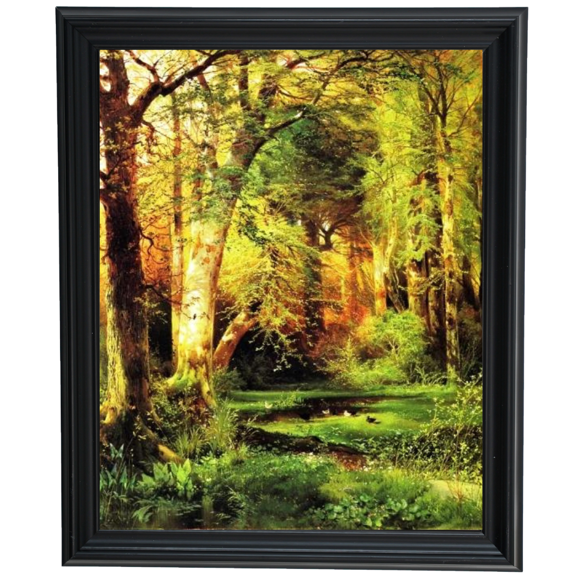 Forest Scene