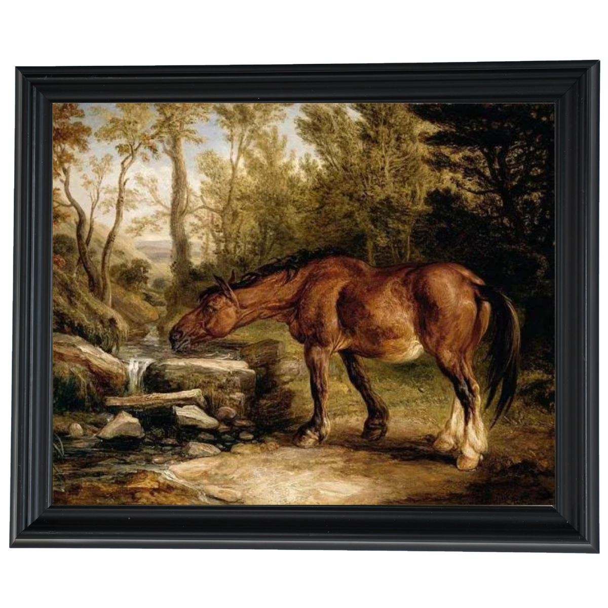 A Horse Drinking at a Stream