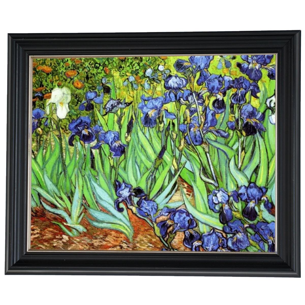 Irises II- Floral Wall Art Prints Decor For Living Room