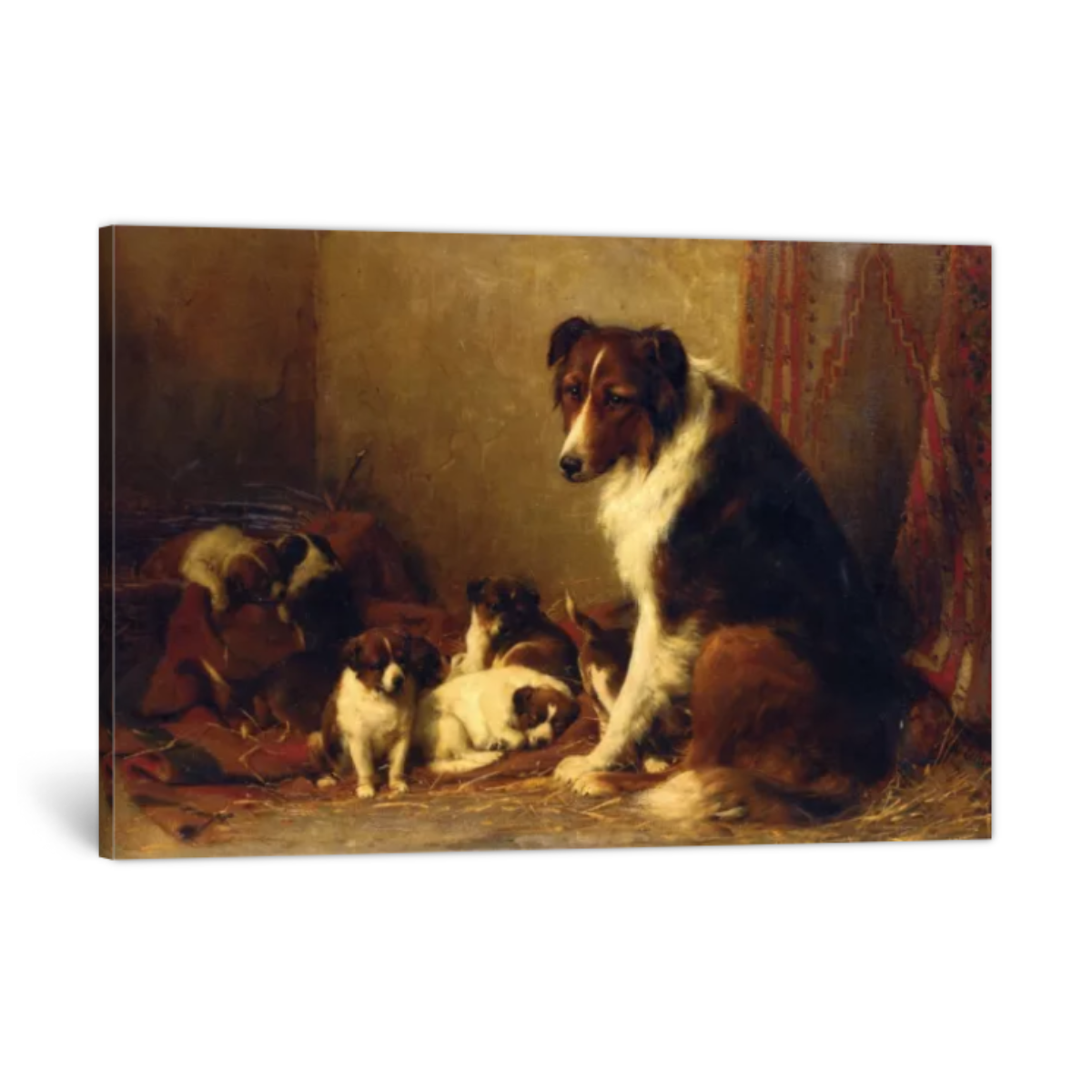 A Collie and Her Puppies