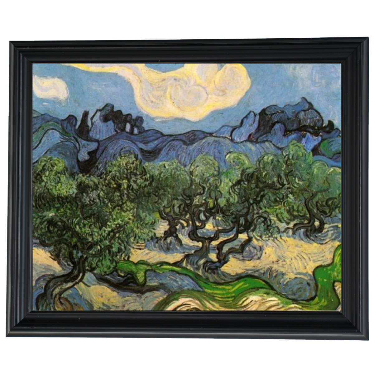 Olive Trees with the Alpilles in the Background