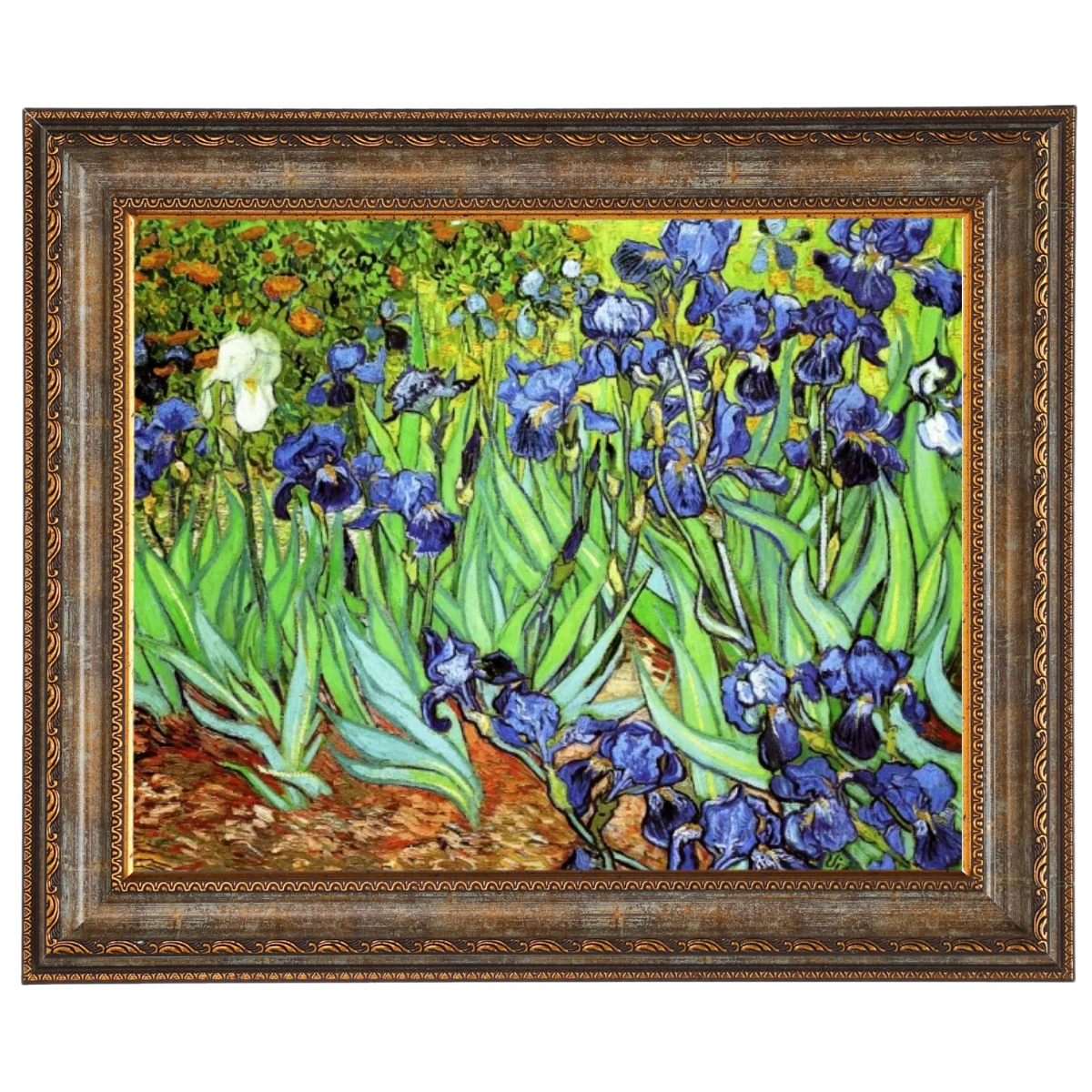 Irises II- Floral Wall Art Prints Decor For Living Room