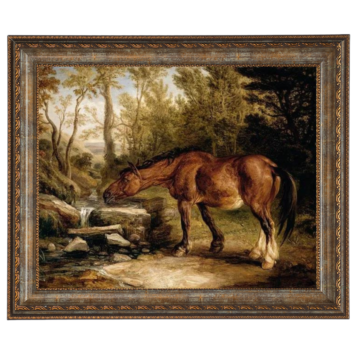 A Horse Drinking at a Stream