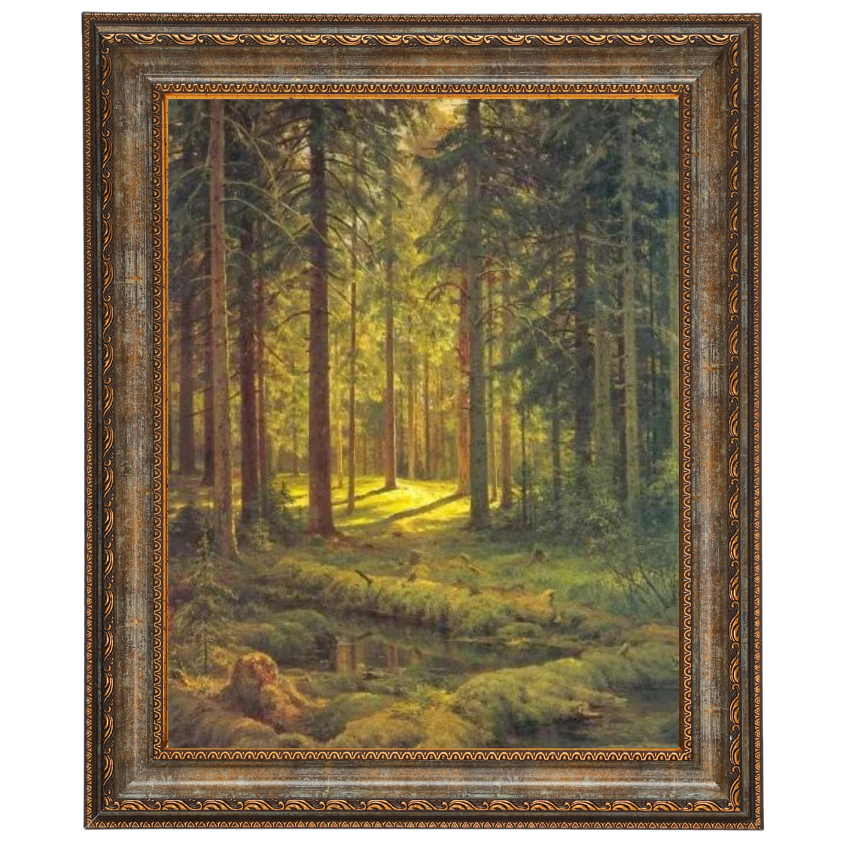 A Coniferous Forest. Sunny Day