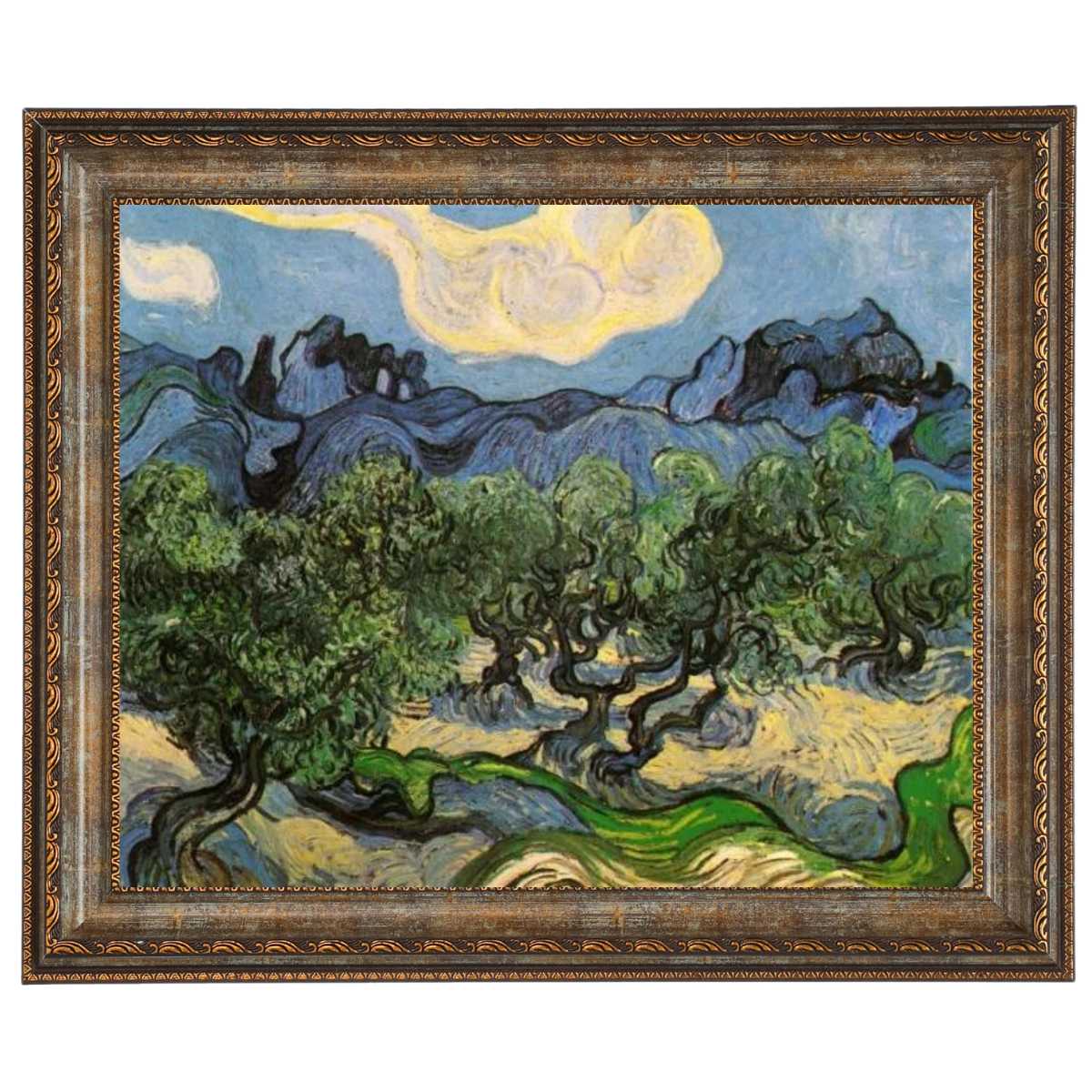 Olive Trees with the Alpilles in the Background