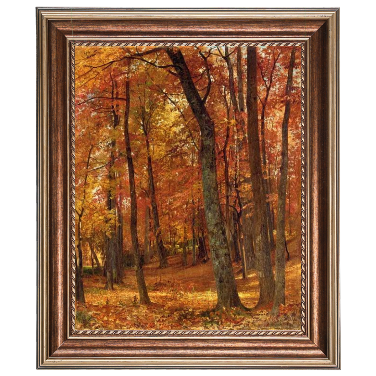 A Forest Interior