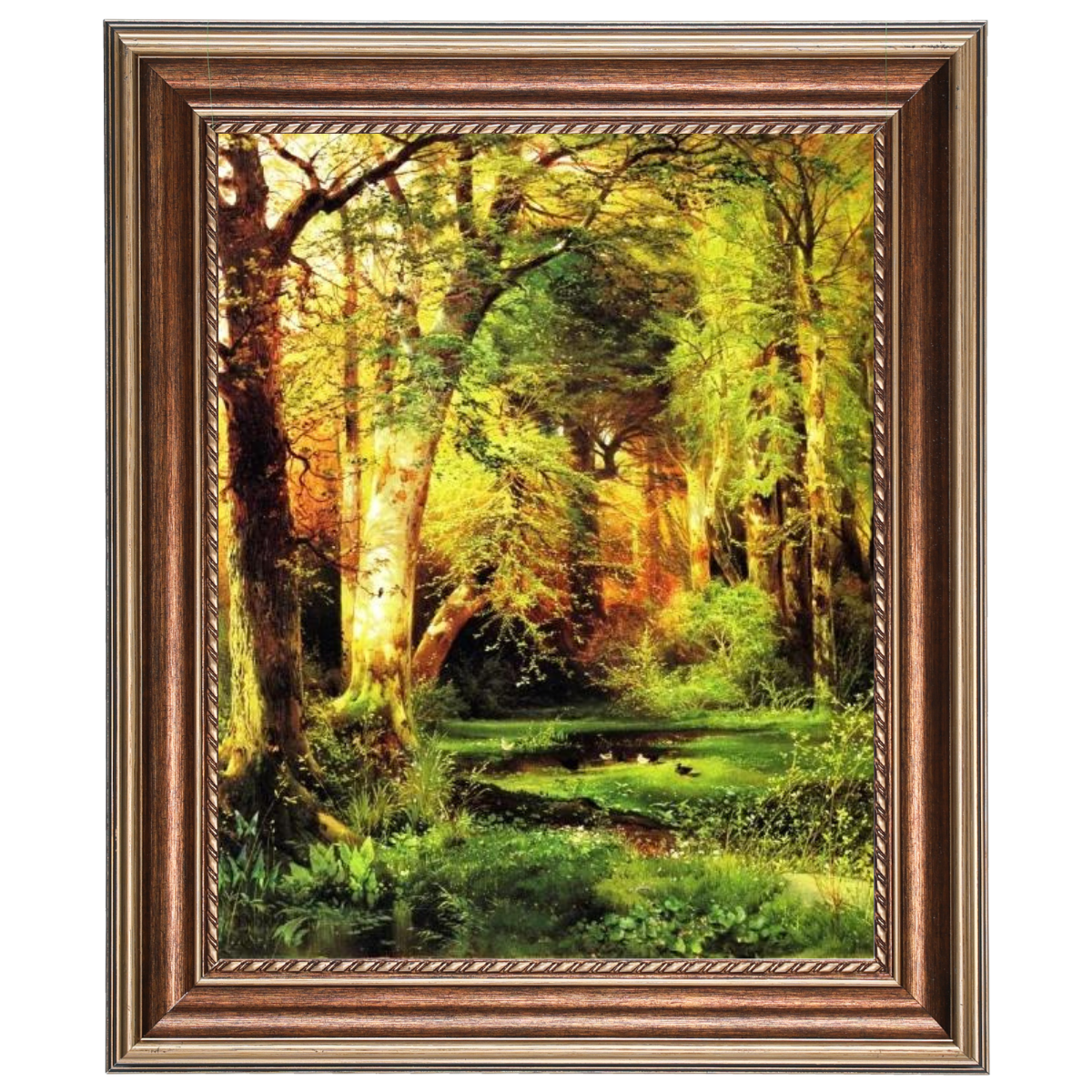 Forest Scene