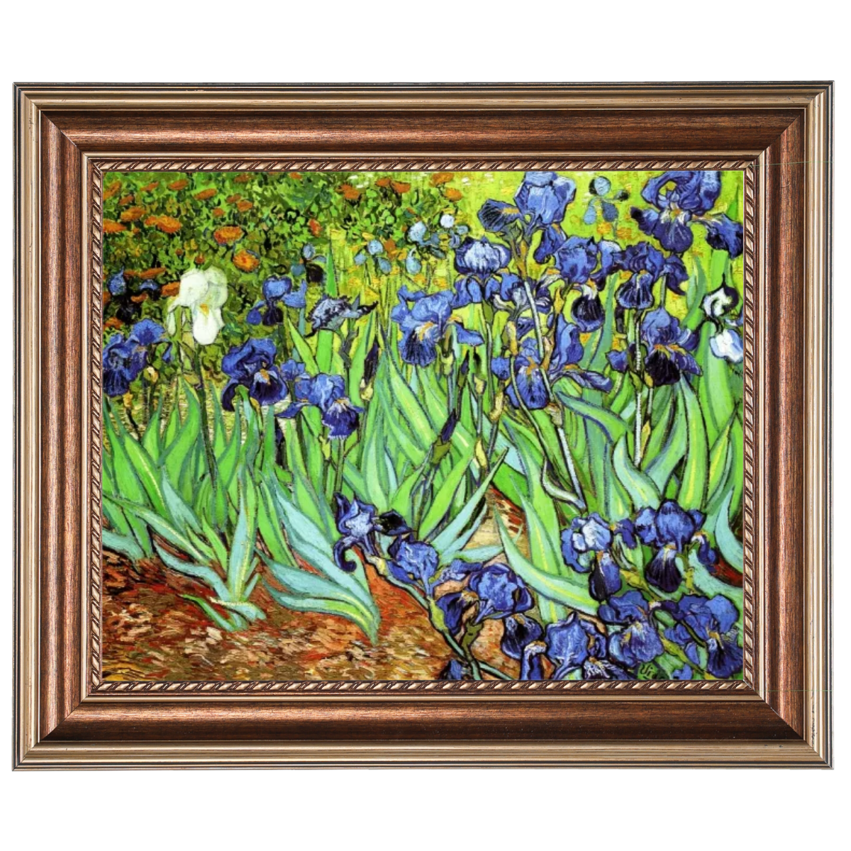 Irises II- Floral Wall Art Prints Decor For Living Room