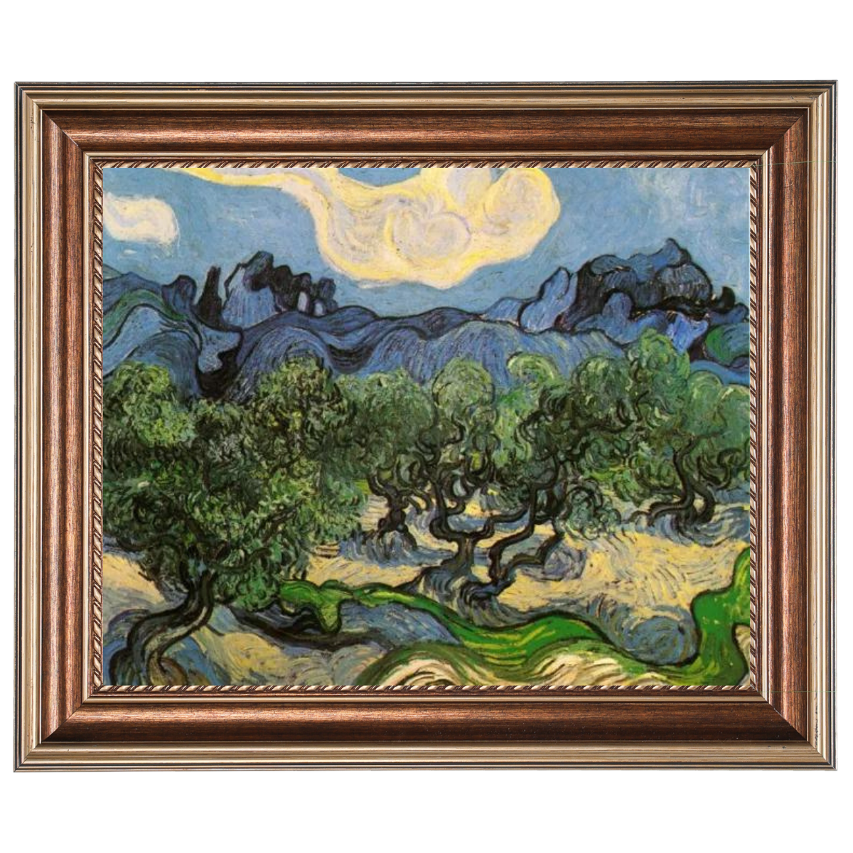Olive Trees with the Alpilles in the Background