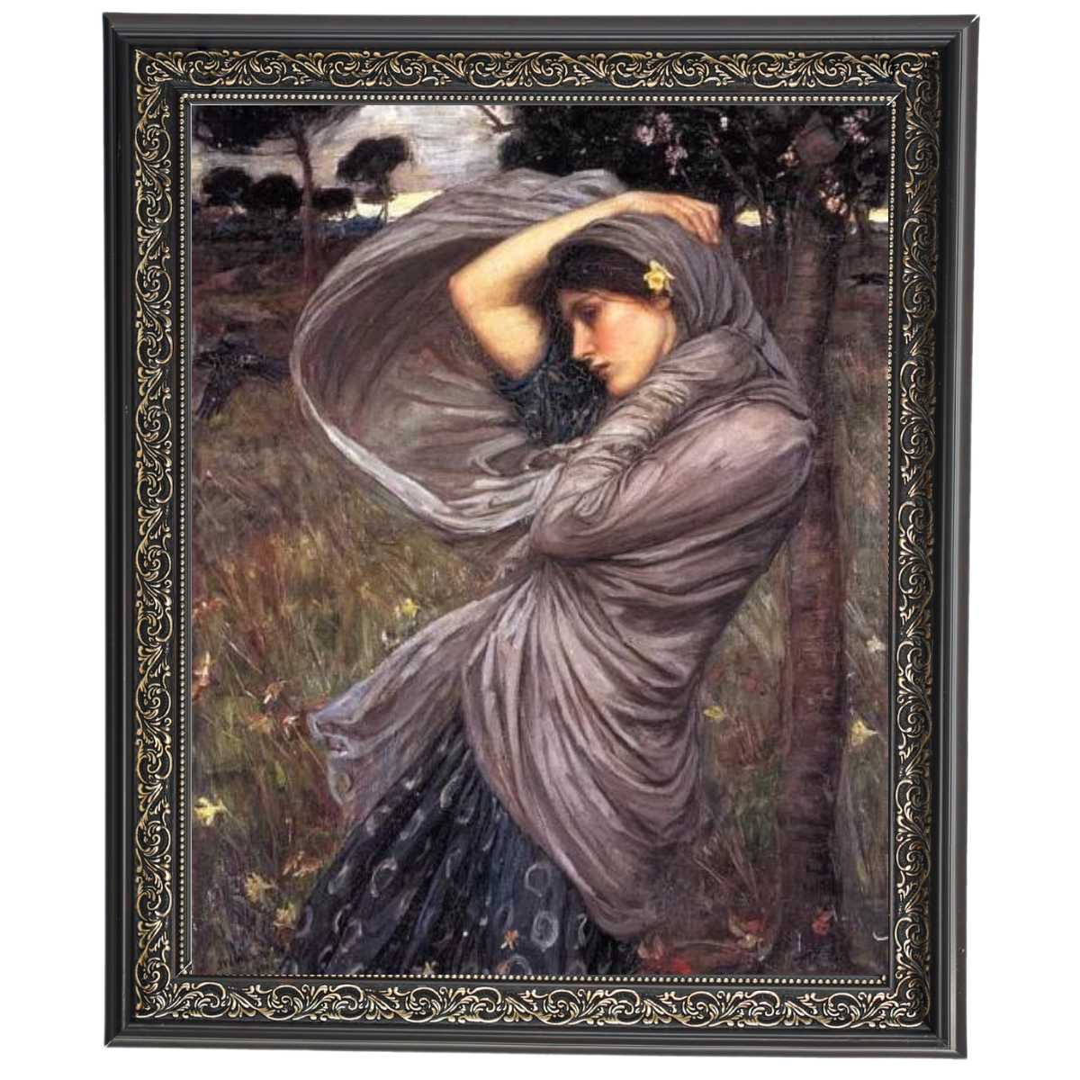 Boreas