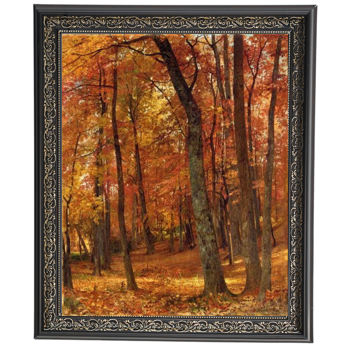 A Forest Interior