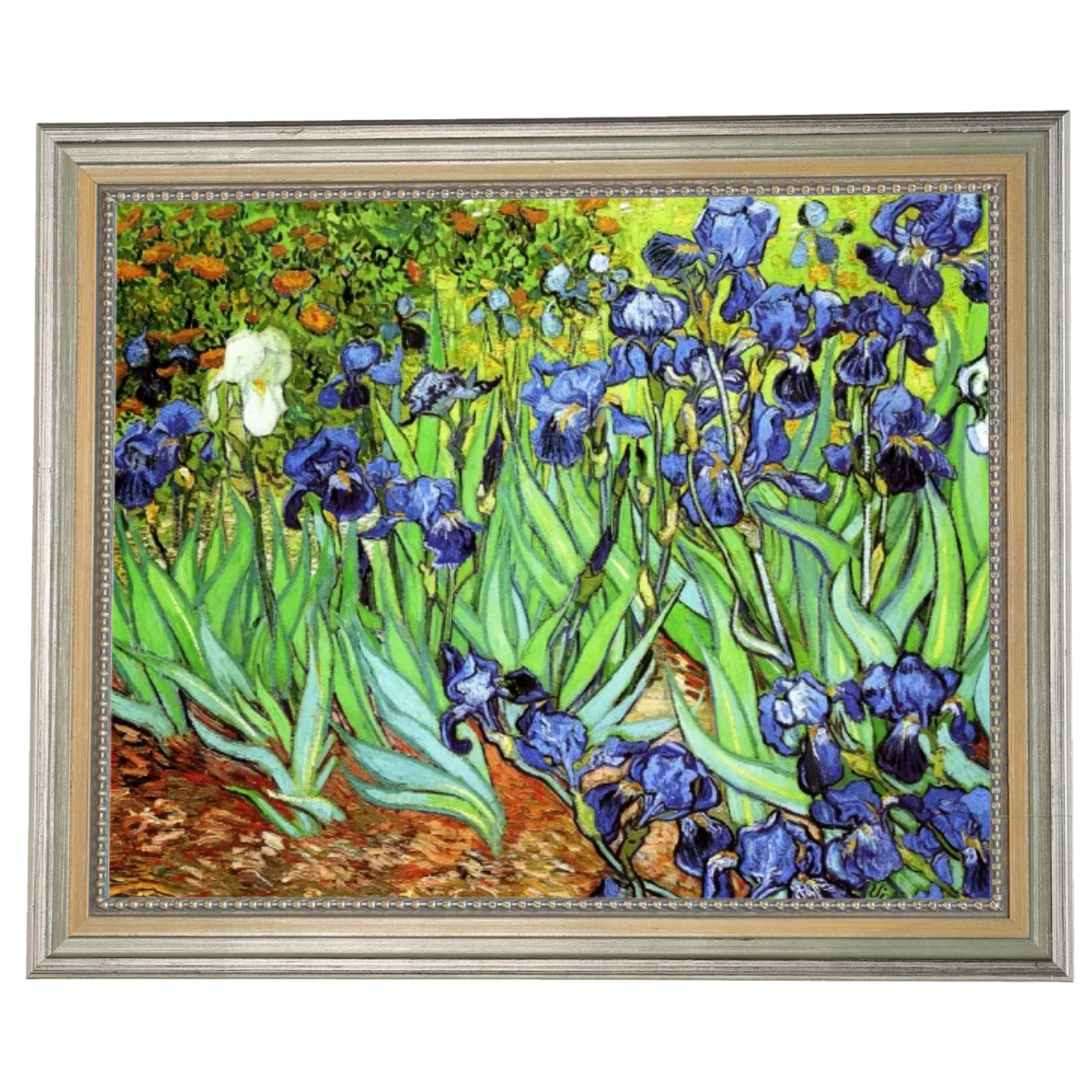 Irises II- Floral Wall Art Prints Decor For Living Room