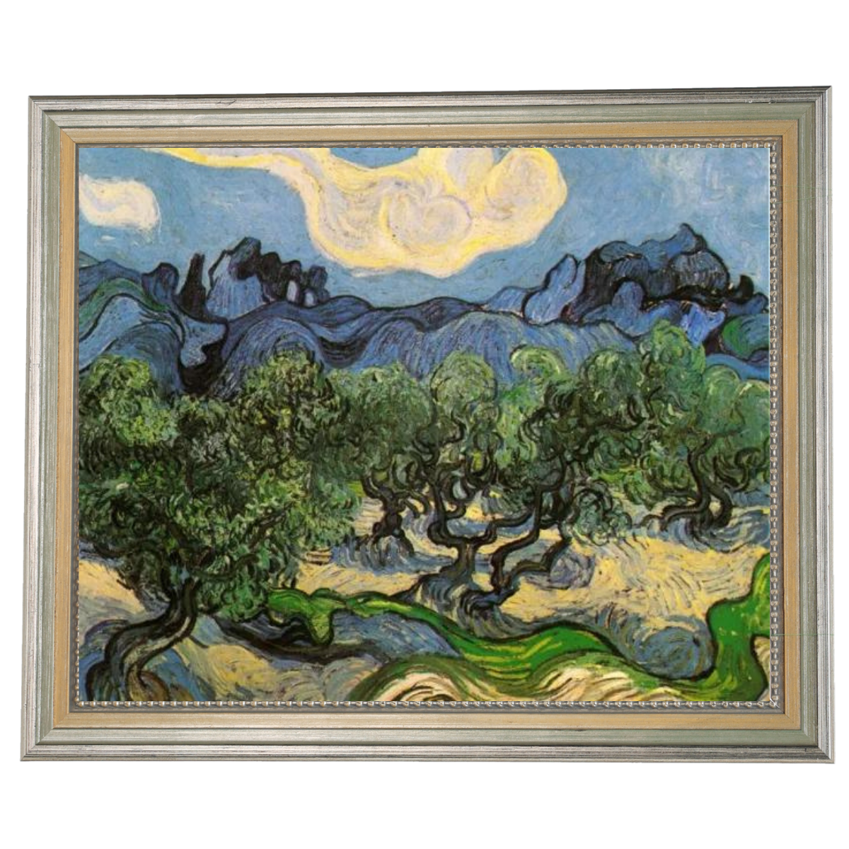 Olive Trees with the Alpilles in the Background