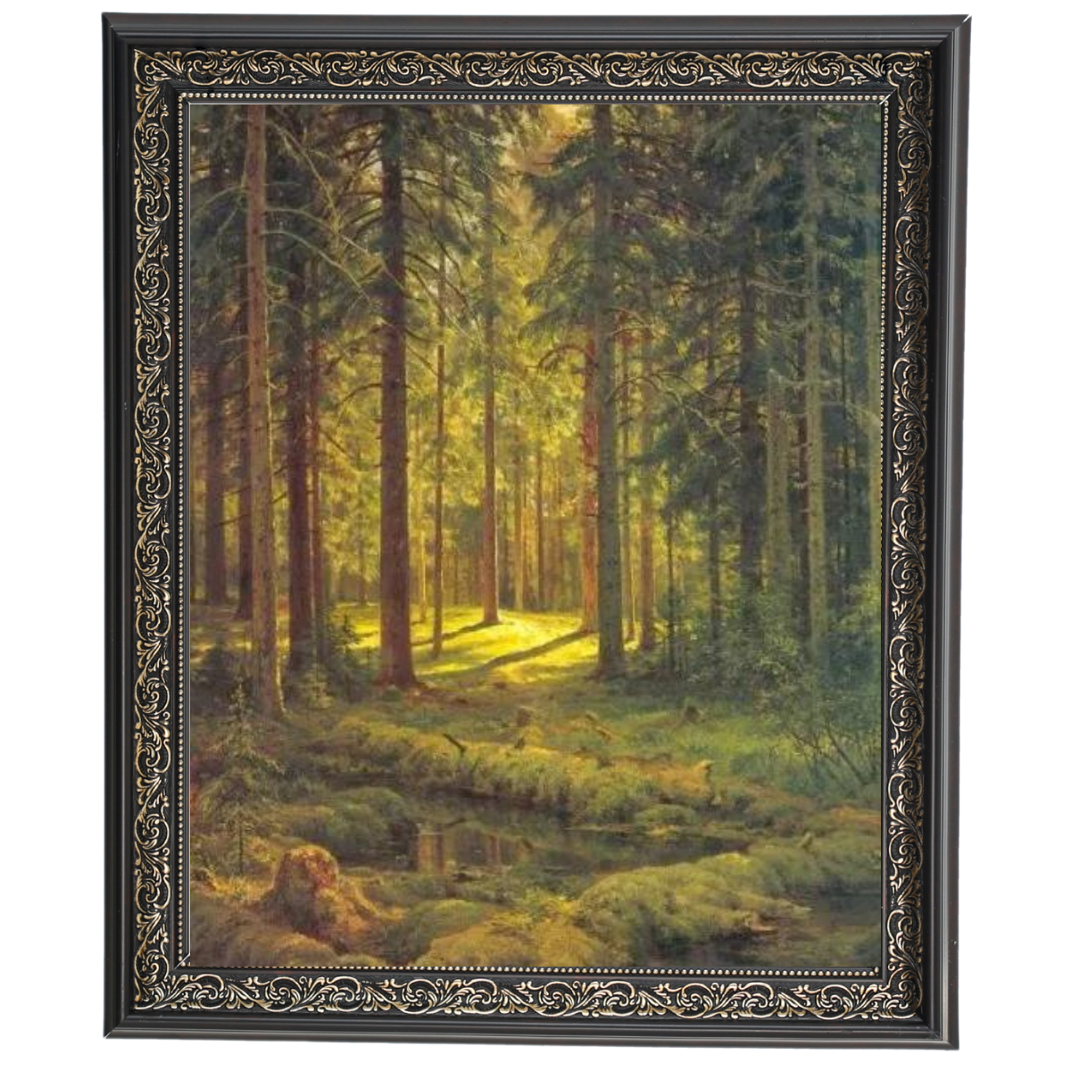 A Coniferous Forest. Sunny Day