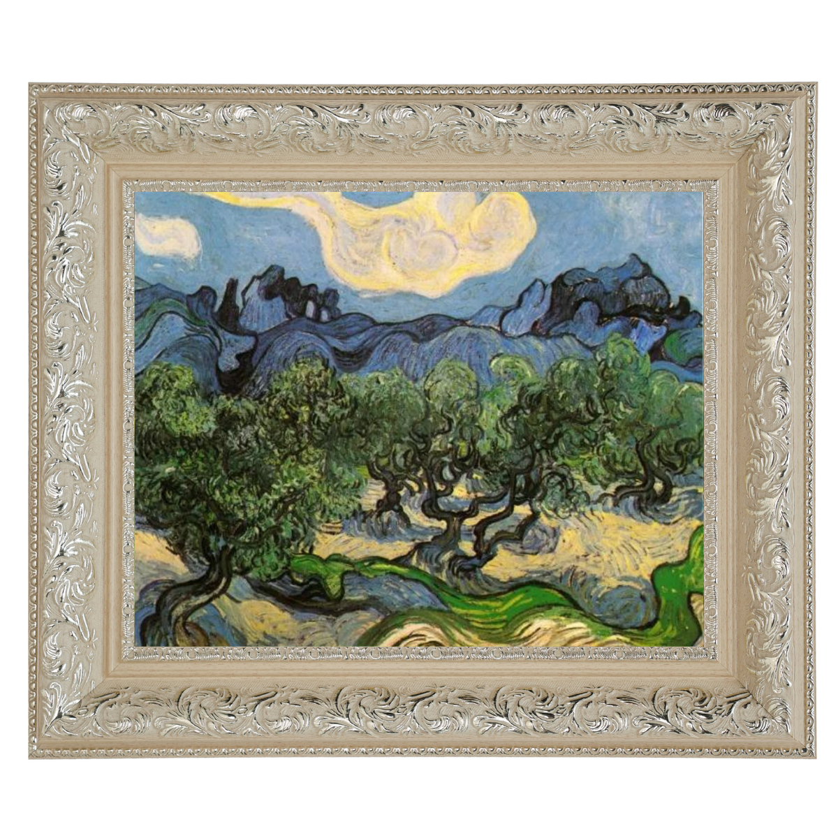 Olive Trees with the Alpilles in the Background