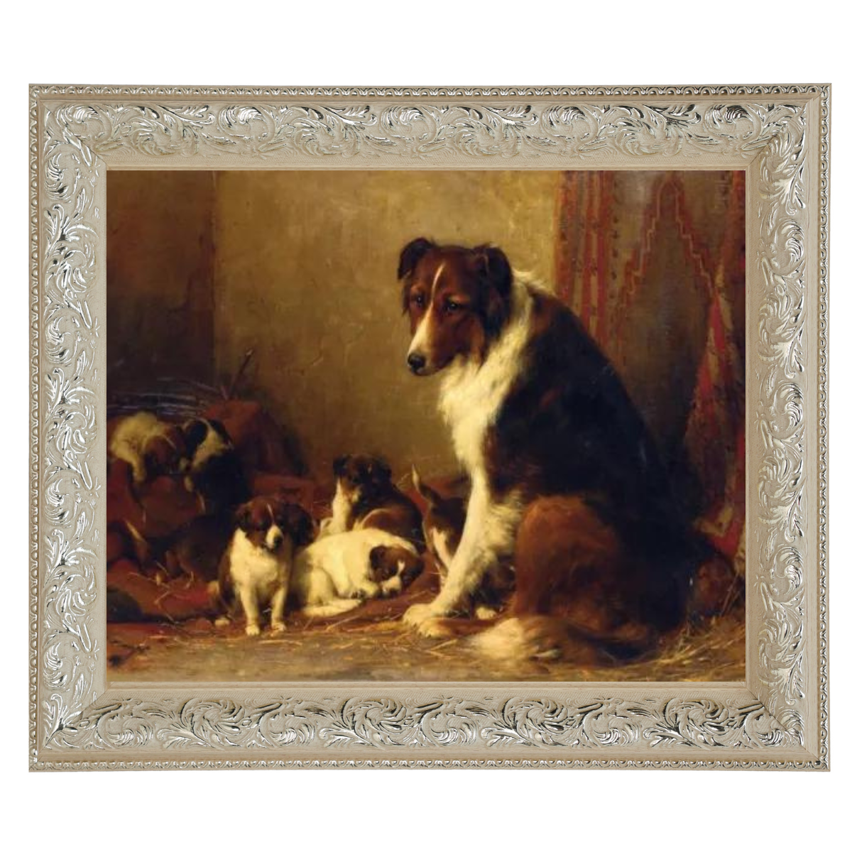 A Collie and Her Puppies