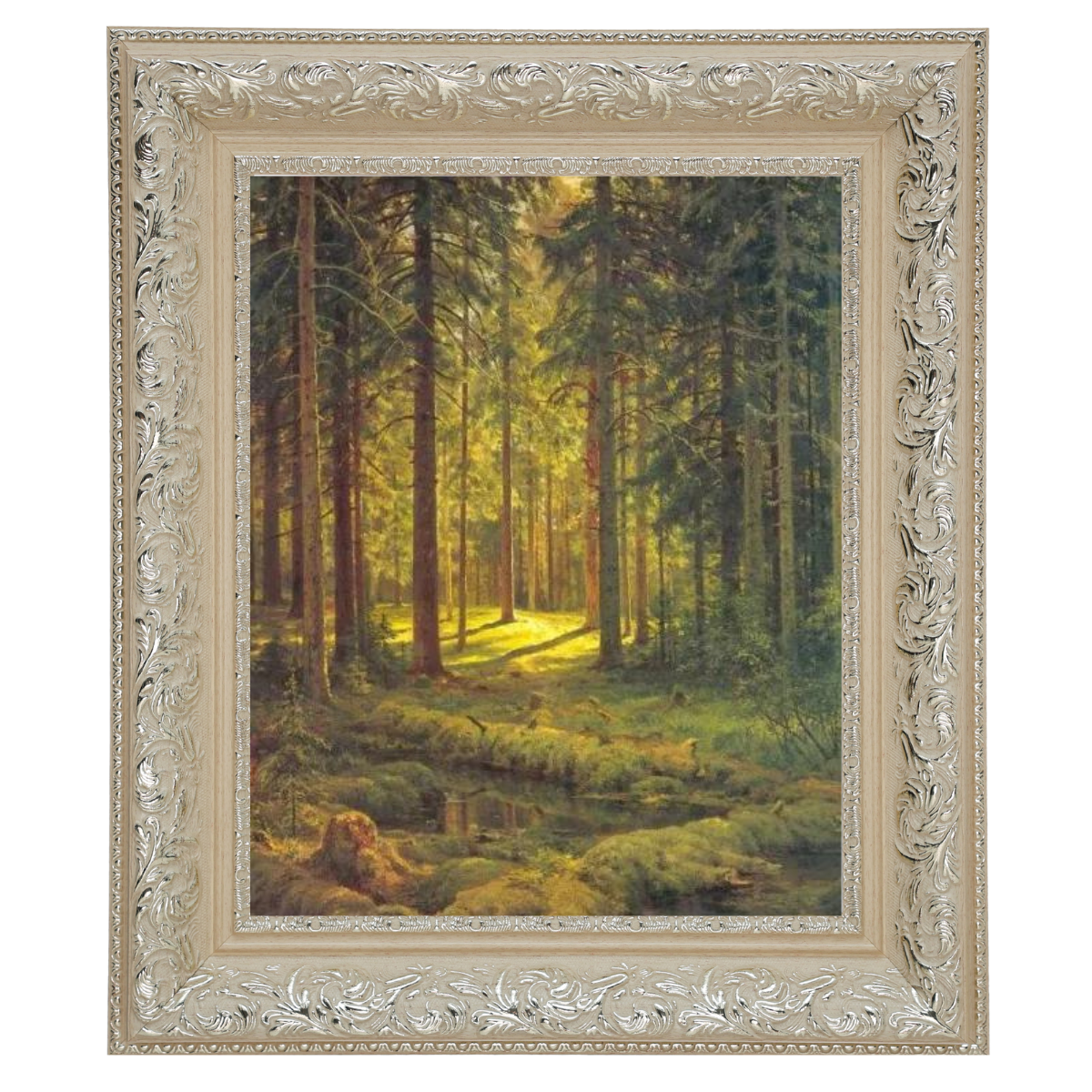 A Coniferous Forest. Sunny Day
