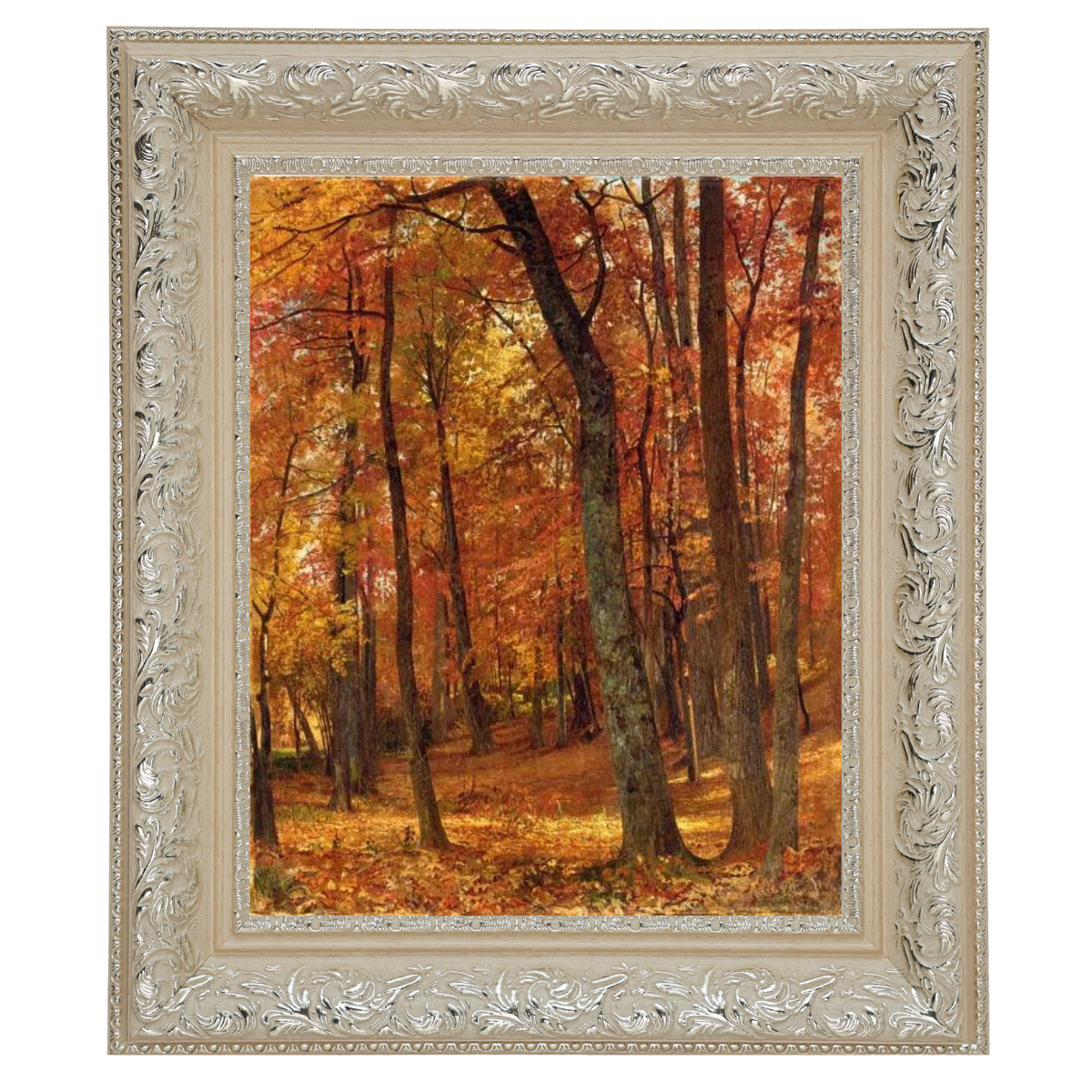 A Forest Interior