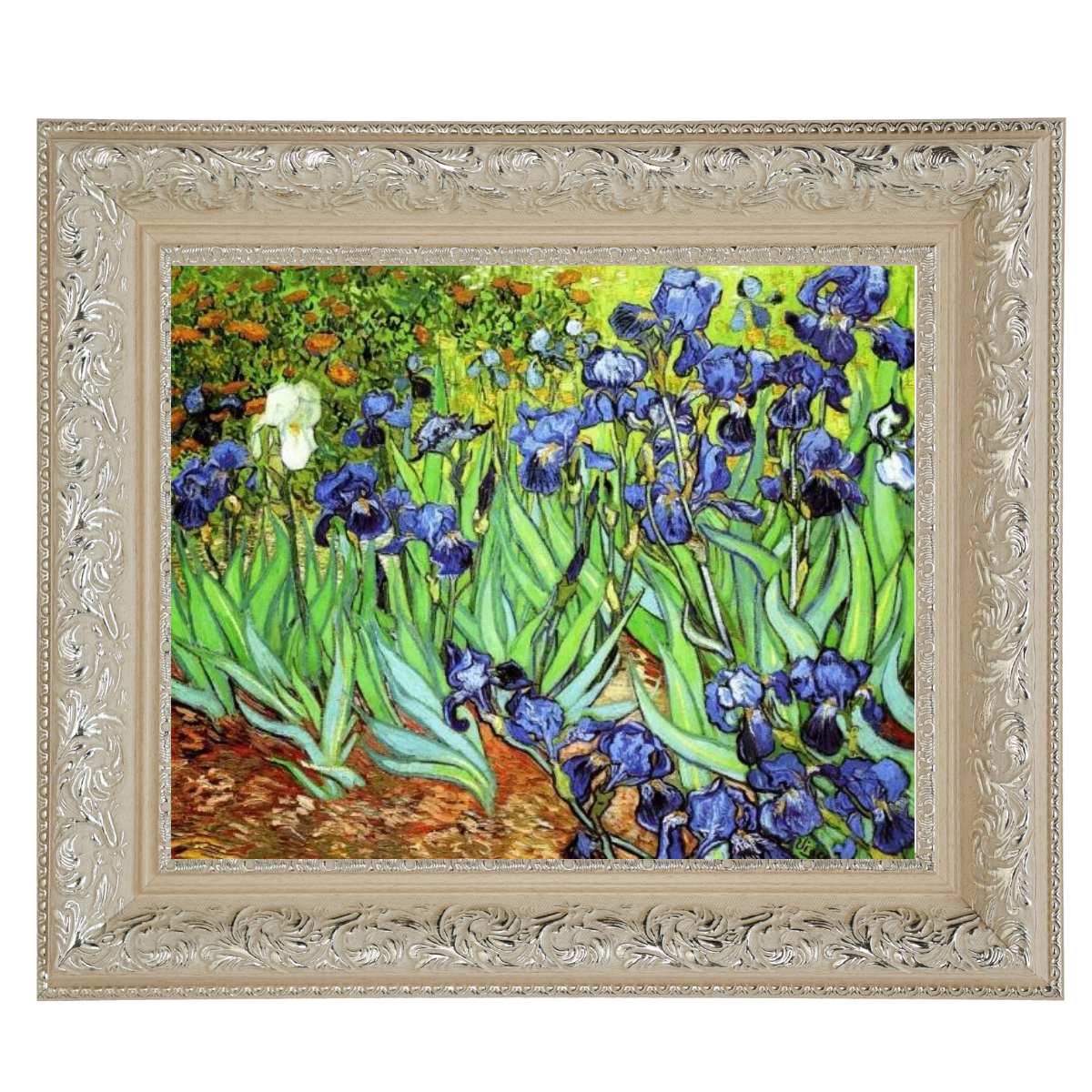 Irises II- Floral Wall Art Prints Decor For Living Room