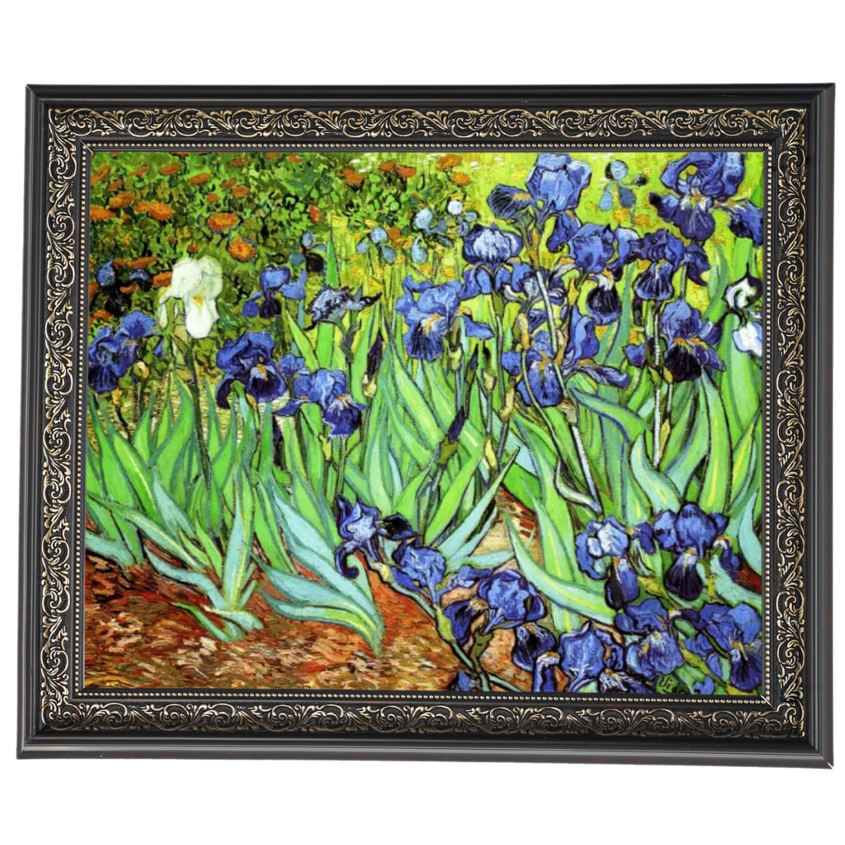 Irises II- Floral Wall Art Prints Decor For Living Room